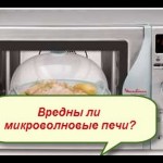 Harm microwave oven myth or reality